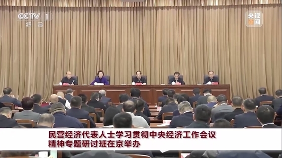 徐冠巨参加民营经济代表人士学习贯彻中央经济工作会议精神专题研讨班并发言