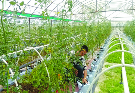 农业部启动实施“五大行动”助推农业绿色发展