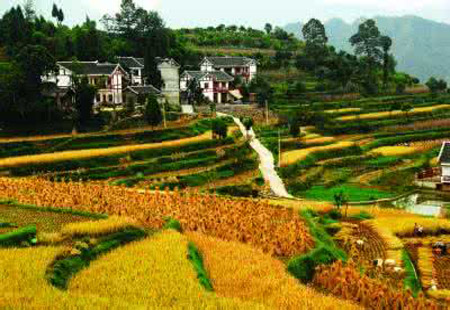 未来三年 贵州重点发展十大类绿色农产品