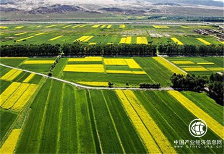 耕地保护是国计民生头等大事