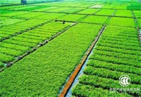 河南省划定永久基本农田面积超1亿亩