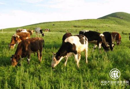 内蒙古以现代农牧业构筑全国“粮仓牧场”