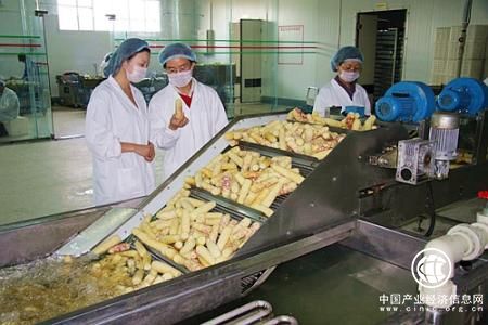 聚焦农产品加工业：蔬菜加工何时告别“洗剪吹”？