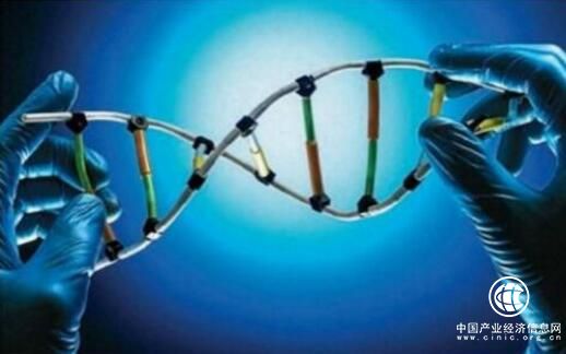 我国生物产业规模不断扩大 将成国民经济主导产业
