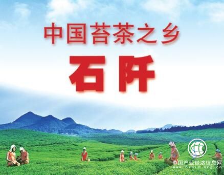 助力黔茶发展：贵州石阡选拔苔茶代言人