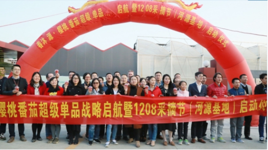 春沐源樱桃番茄正式上市,目标要做樱桃番茄大王