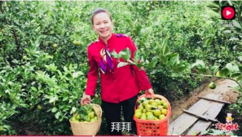 西瓜视频“边看边买”短视频电商项目 让山妹子月入近百万