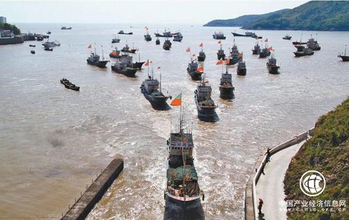 浙江出台新政促进海洋渔业可持续发展