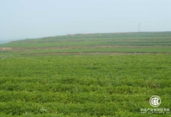 黑龙江省绿色食品标识产品达2700个