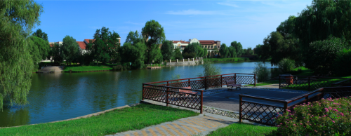 刚需化元年鲁能格拉斯价值几何？