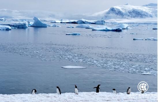 青岛啤酒把欢聚带到世界最南端，引领年轻人看世界，尽情举杯！