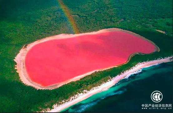 澳洲科学家从珀斯粉湖成功提取美白淡斑活性成份