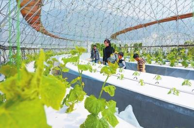 福建出台政策加快数字农业发展