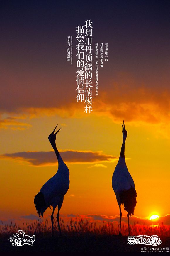 黑龙江推出爱情旅行十个玩法：“冰雪恋人”爱就这么玩!