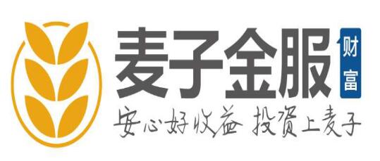 外媒视点：麦子金服探索金融的“道、法、术”