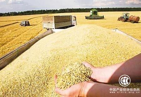 今年我国粮食生产目标：稳定在12000亿斤以上