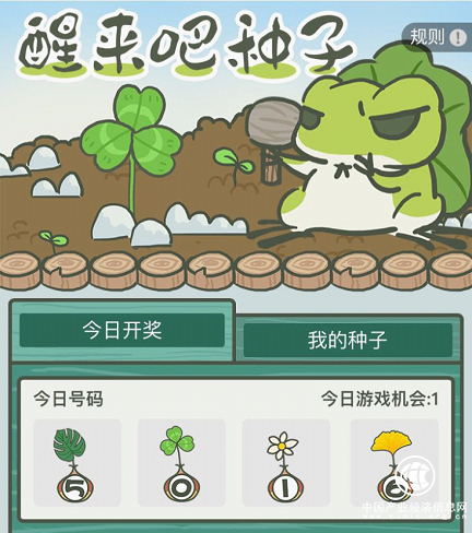 你的蛙正在做任务 快来爱又米助他一臂之力
