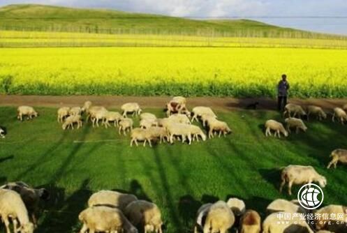 内蒙古巴彦淖尔市加快建设绿色农畜产品生产基地