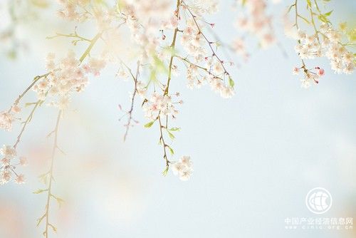 怎样消除眼袋最有效，快速消除眼袋的小妙招