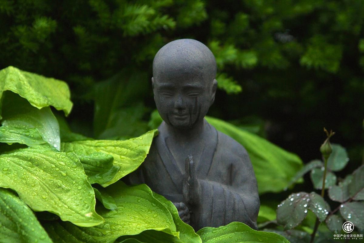 昨天，我的佛友圈被一款戒指刷爆屏了！