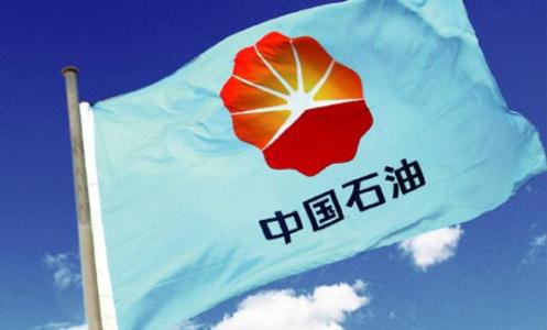 中国石化“精细化学品关键技术”重大项目年度汇报会在上海院举行