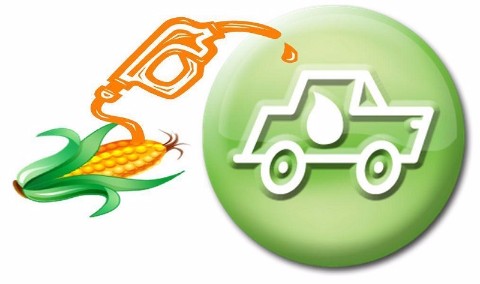 乙醇汽油：地方出新政，企业忙起来