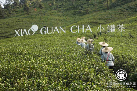 茶品牌如何破局又“老”又“土”困境？小罐茶又创新思路