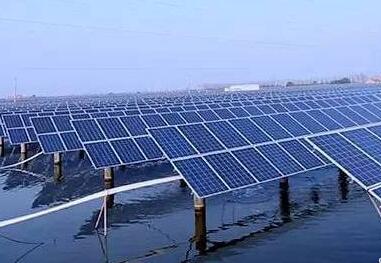 通威集团获评“年度清洁能源诚信企业”