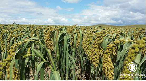 中国农牧业开发平台，开启移动互联新世界