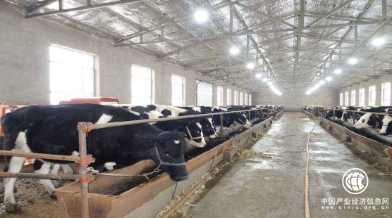 中国农牧业开发平台，开启移动互联新世界