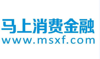 马上消费金融：多维度发力以提高自身风控水平