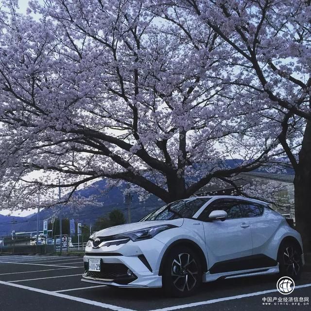 丰田这款网红车，才是合资小型SUV的正确打开方式