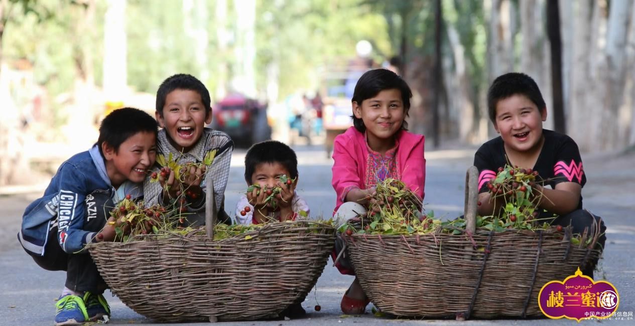 “我在喀什有棵百年枣树”首次上线京东众筹 为精准扶贫插上互联网+的翅膀