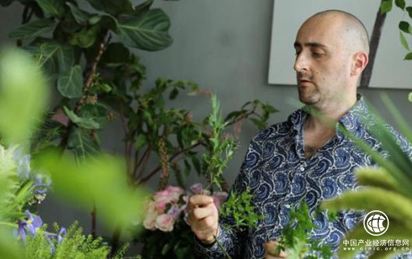 选择Flowerplus花加 感触法国仲夏夜之浪漫