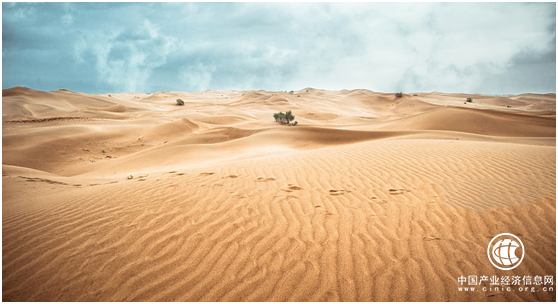 4985份爱心4985棵树，新秀丽用心践行一份绿色承诺