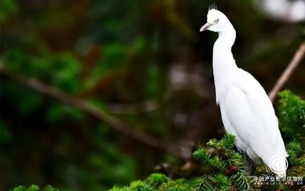 昌宁县，一座你来了就不想回去的小城