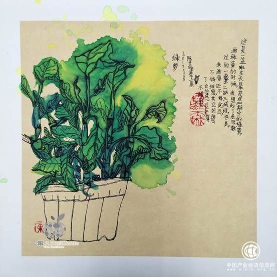 火龙果初级 植物写生_副本.jpg