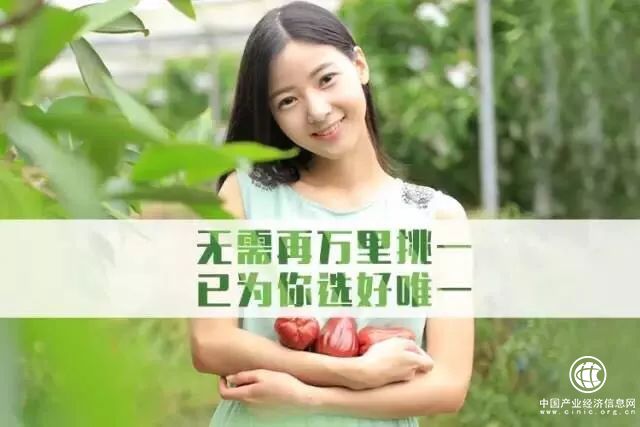 中富定义新生活 新零售真的有料