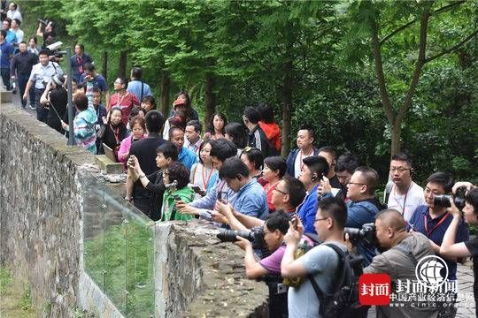 30多位媒体总编辑走进都江堰德阳见证产业振兴 感受“大国重器”