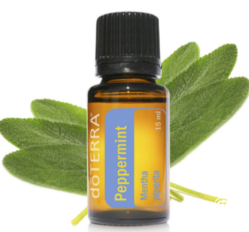 出游带上doterra多特瑞精油，尽情欣赏初夏大好风光