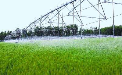 农业调整重在优化经营结构，全面提高农业供给质量