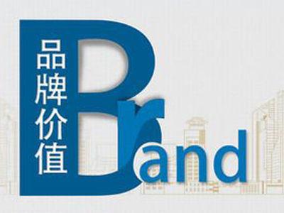 品牌价值百强榜发布