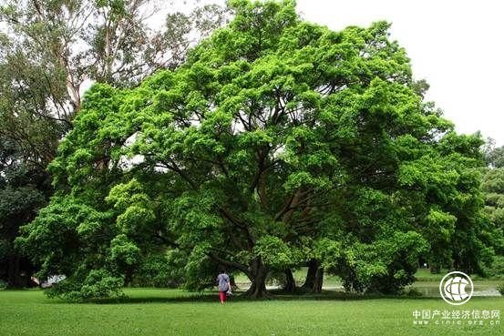 启程塾：10年知名品牌打造精品日本升学服务
