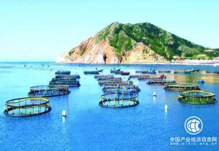 山东以装备化信息化助推海洋牧场升级