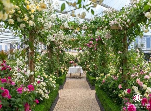 花艺游学重磅开启 2018与良友花店商学院相约英国切尔西