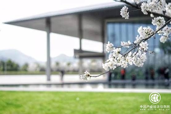 杭州国际艺术教育最牛导师与你相约，万琨国际名校Offer等你拿！