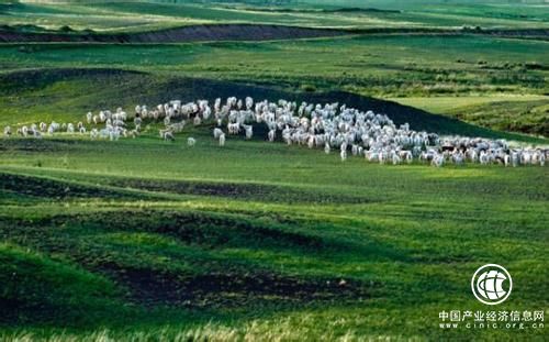 内蒙古巴彦淖尔积极推进河套区域农产品品牌战略