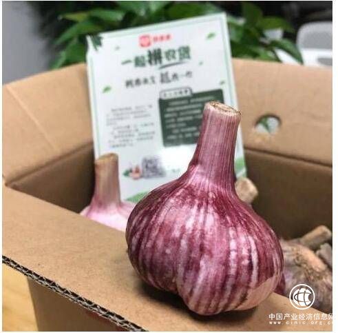 为何全国滞销的大蒜，能在拼多多上一天卖出4.7万单？