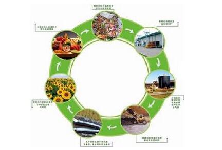 推进垃圾资源化利用 技术创新成关键