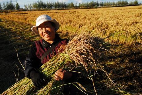 农业农村部：打造企农融合利益共同体